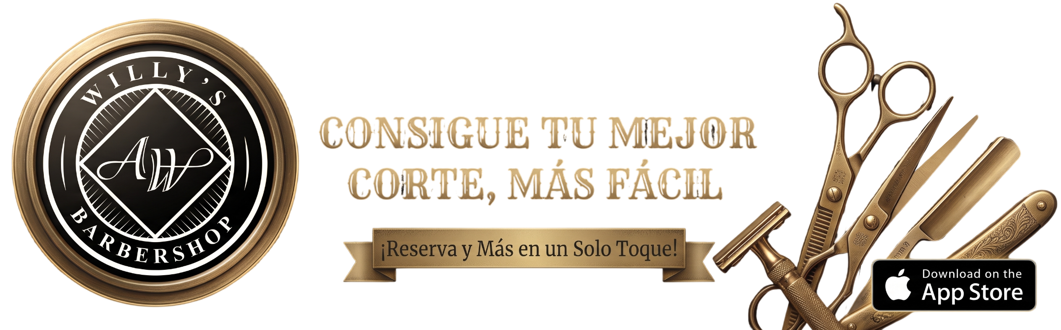 Descarga la app willys